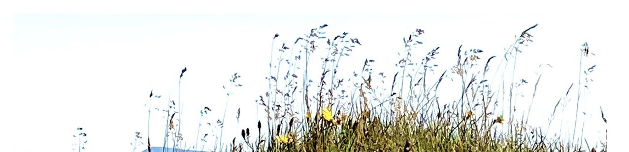 Iðnsveinafélag Skagafjarðar 